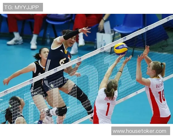 杨磊专访揭秘排球成功秘诀与背后故事的深度解析